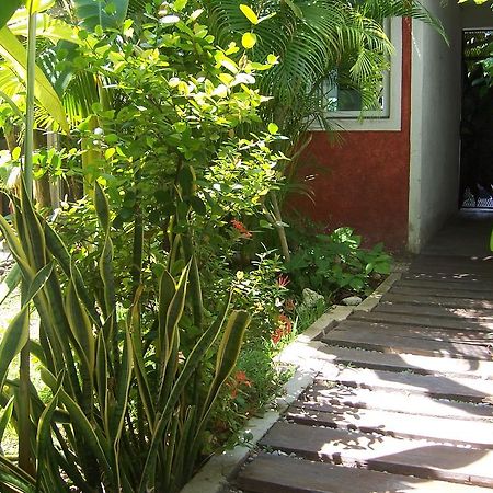 Elements Of The Island Apartment อิสลามูเฮเรส ภายนอก รูปภาพ