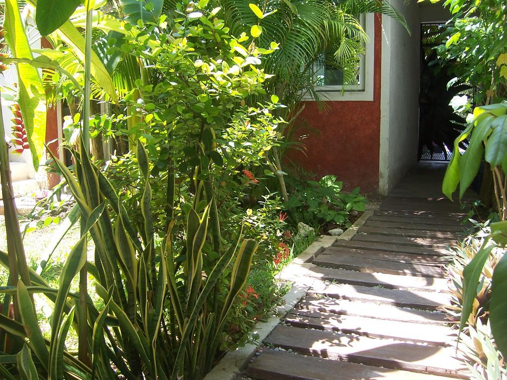 Elements Of The Island Apartment อิสลามูเฮเรส ภายนอก รูปภาพ