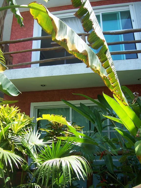 Elements Of The Island Apartment อิสลามูเฮเรส ภายนอก รูปภาพ